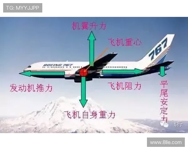 飞机垂直尾翼偏转角与航向稳定性