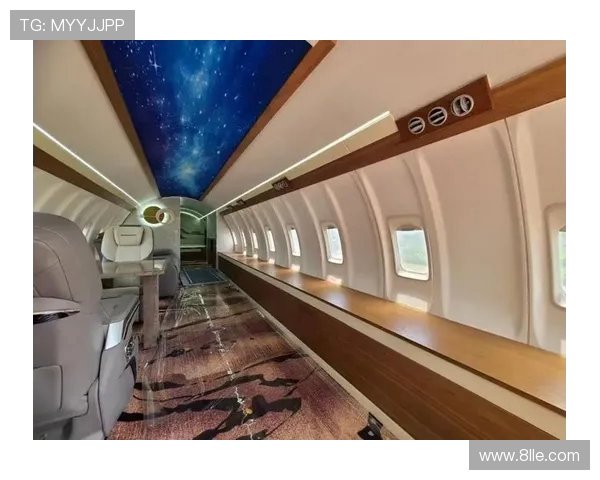 飞机客舱内饰的环保性材料研究